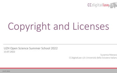 Copyright and Creative Commons Licenses