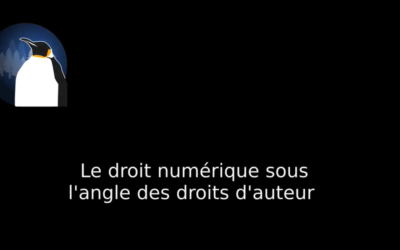 #RHL2023 Le droit numérique sous l’angle des droits d’auteur