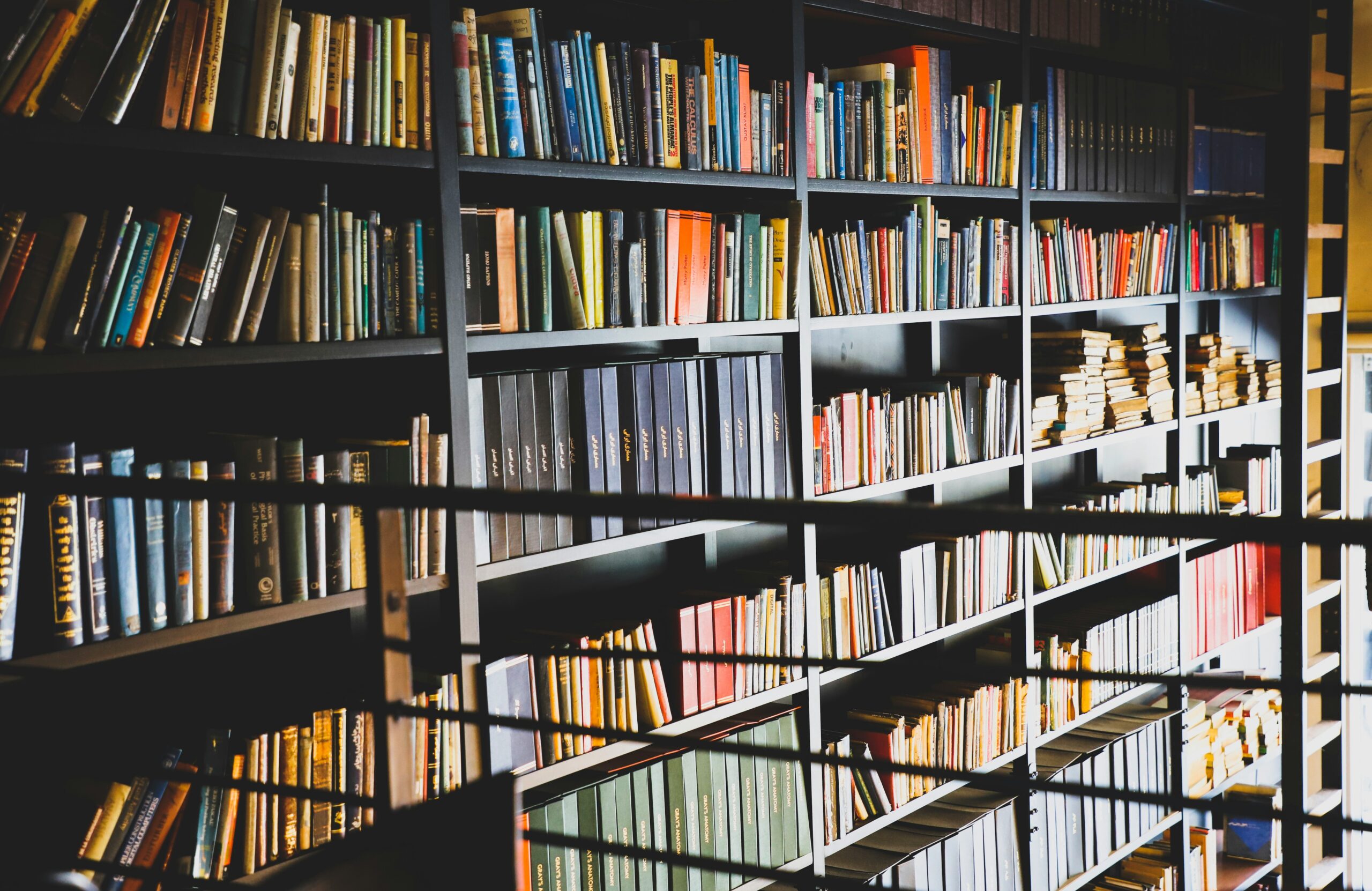 04.10.2024 – HOW SHOULD LIBRARIES HANDLE COPYRIGHT?